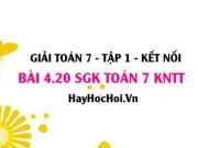 Bài 4.20 SGK Toán 7 tập 1 Kết nối tri thức